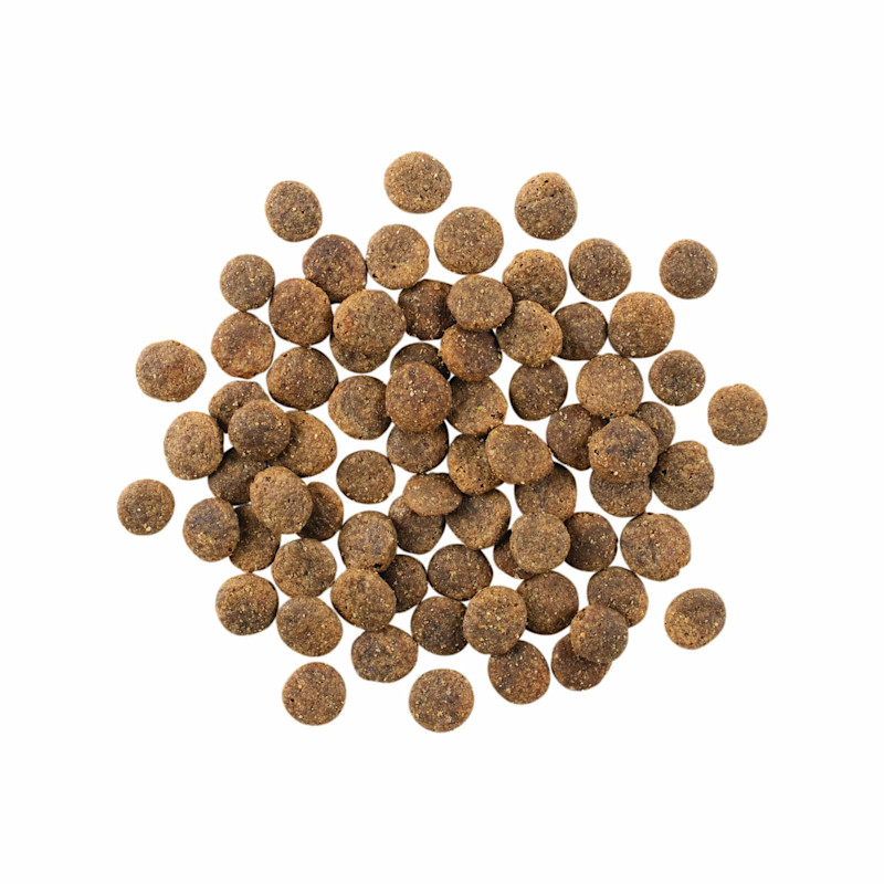GO! SOLUTIONS SENSITIVITIES Limited Ingredient Grain-Free Lamb Recipe for Dogs kibble