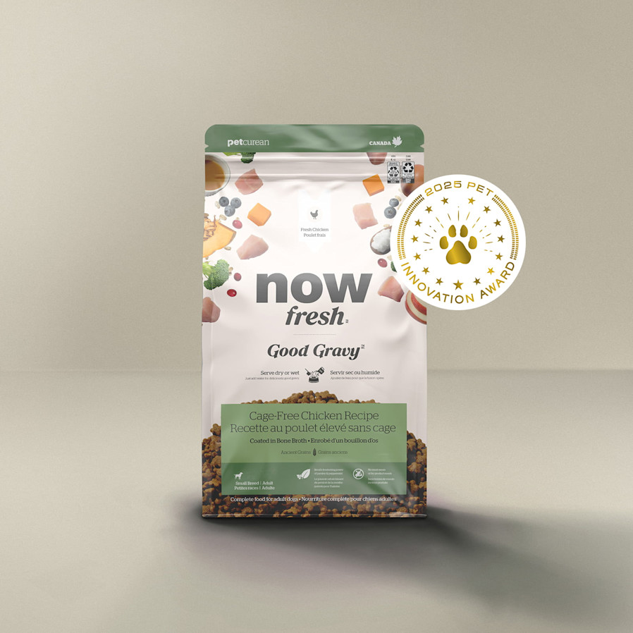 Now Fresh Good Gravy Cage-Free Chicken Recipe for Small Breed Dogs, Pet Innovation Award 2025