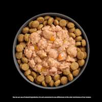 Go! Solutions Booster Tranquility Minced Chicken food topper on kibble