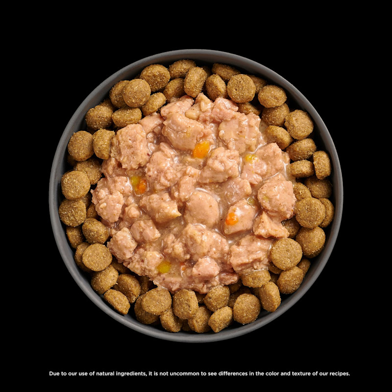 Go! Solutions Booster Tranquility Minced Chicken food topper on kibble