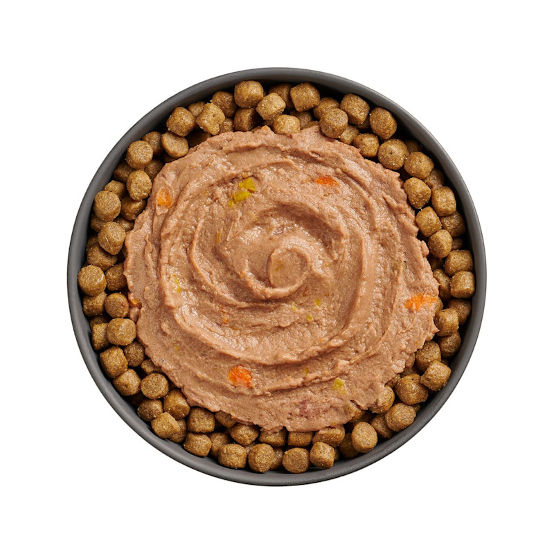 Bowl of kibble topped with Go! Booster Brain Health Tuna + Salmon Pâté recipe for cats