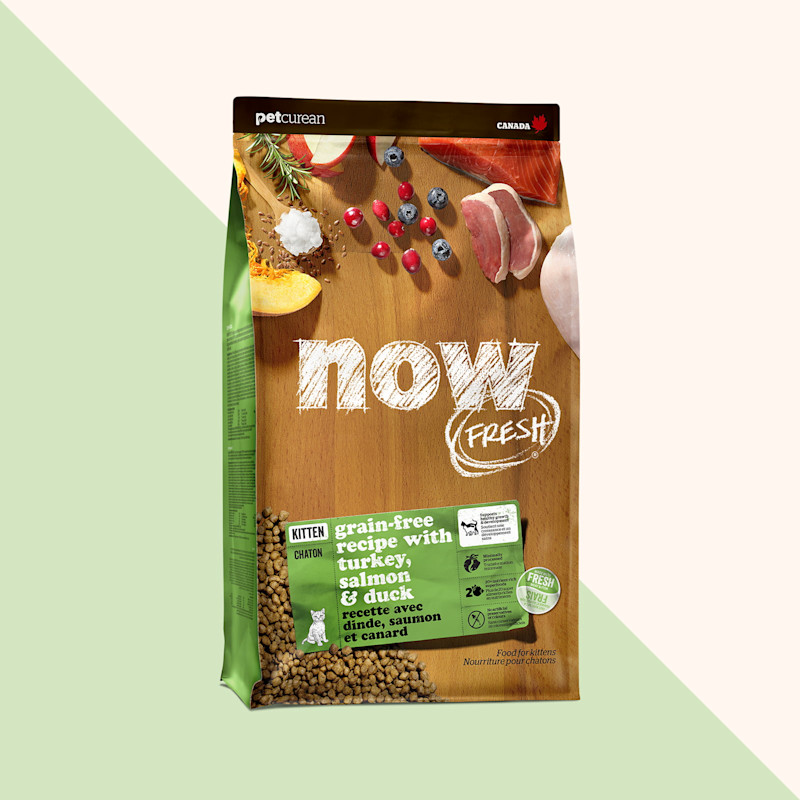 Now Fresh Grain-Free Recipe with Turkey, Salmon & Duck dry food for kittens