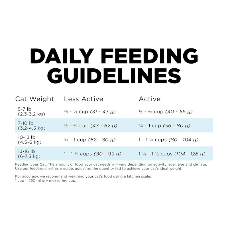 Go! Solutions Dental + Immune Health Chicken + Salmon for Cats feeding guidelines