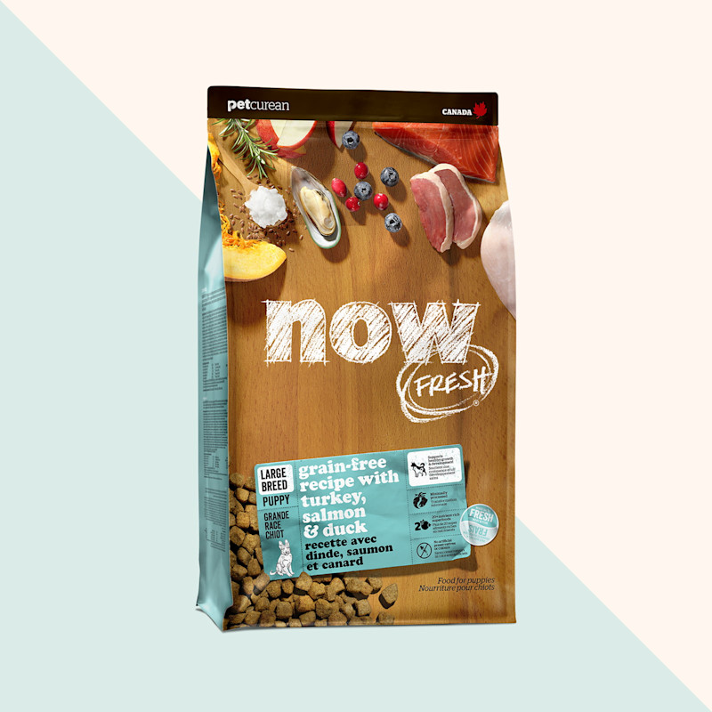 Now Fresh Grain-Free Recipe with Turkey, Salmon & Duck dry food for large breed puppies