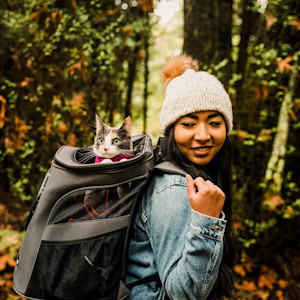 Small cat in hiking backpack outdoors with pet parent