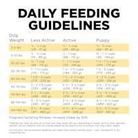 Go! Solutions Skin + Coat Care Duck Recipe with Grains dog food feeding guidelines