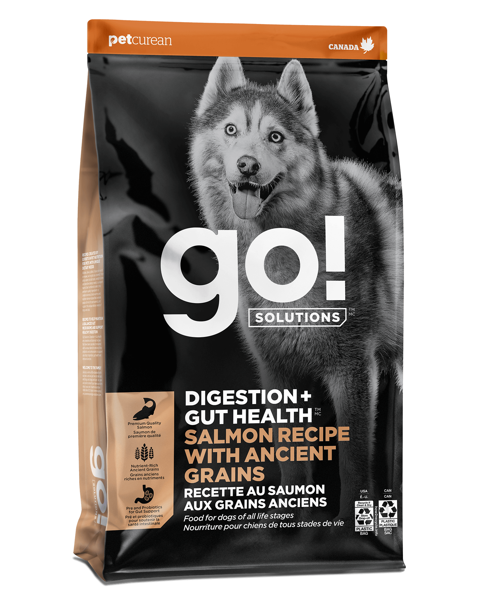 Go! Solutions Digestion + Gut Health Salmon dry dog food