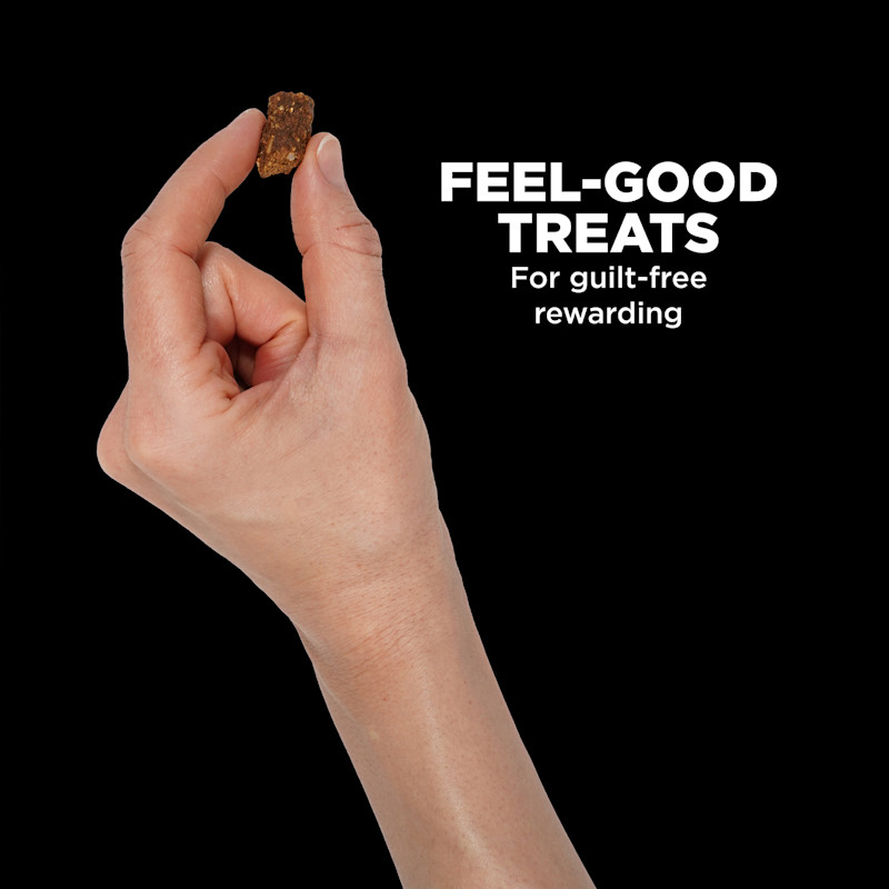 Feel good treats for guilt-free rewarding