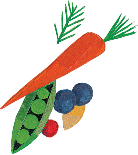 Illustration of fruit and vegetables