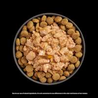 Go! Solutions Booster Joint Care Minced Chicken food topper with kibble