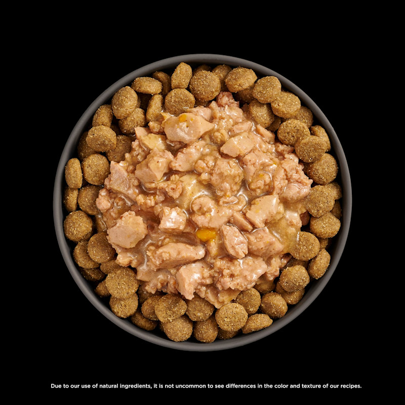 Go! Solutions Booster Joint Care Minced Chicken food topper with kibble