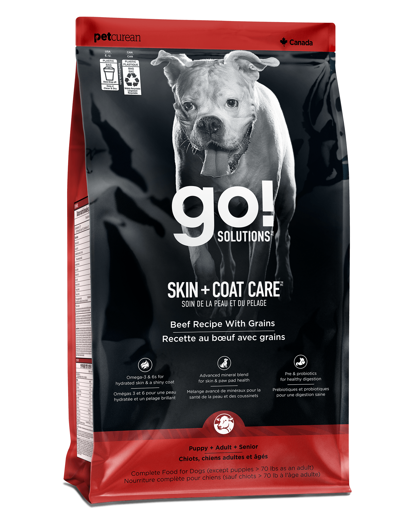 Go! Solutions Skin + Coat Care Beef Recipe dry dog food