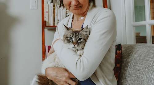 Woman holding blue-eyed cat