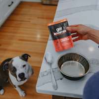 Pitbull dog looking at counter with Go! Solutions Booster Digestive Health pouch