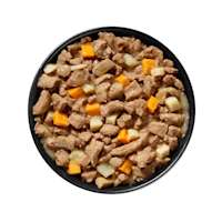 Bowl of GO! SOLUTIONS CARNIVORE Grain-Free Shredded Lamb + Wild Boar Recipe for Dogs