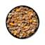 Bowl of GO! SOLUTIONS CARNIVORE Grain-Free Shredded Lamb + Wild Boar Recipe for Dogs