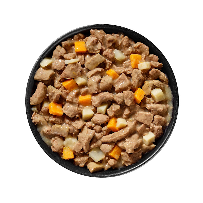 Bowl of GO! SOLUTIONS CARNIVORE Grain-Free Shredded Lamb + Wild Boar Recipe for Dogs