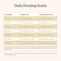 Now Fresh Senior Recipe dog food feeding guide
