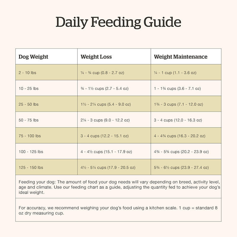 Now Fresh Senior Recipe dog food feeding guide