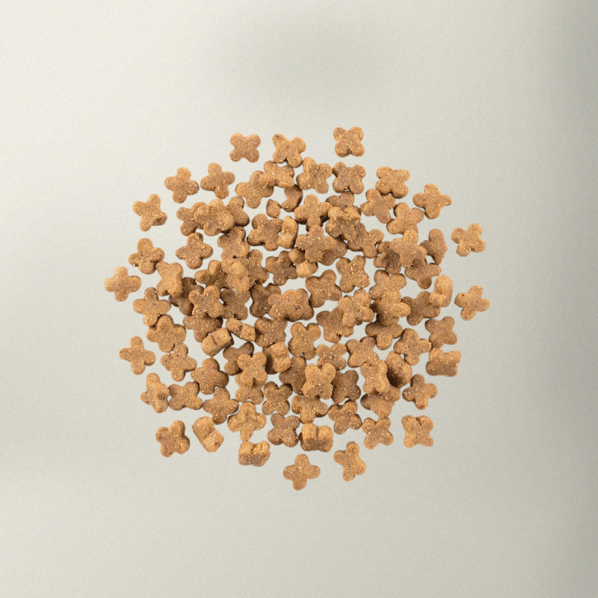 Now Fresh small breed fish dog food kibble