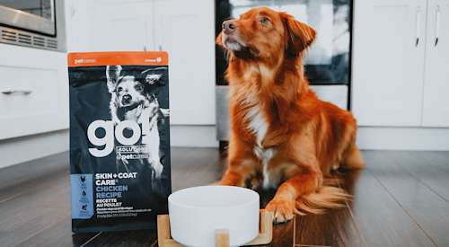 Duck Tolling Retriever dog beside bag of Go! Solutions Skin + Coat Care kibble