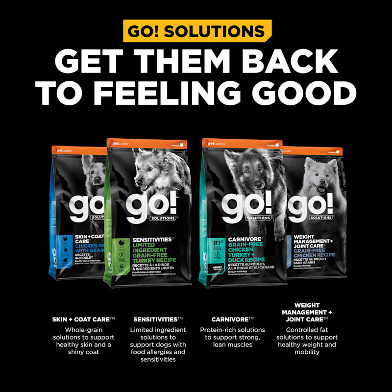 Get them back to feeling good with our other dog food product lines