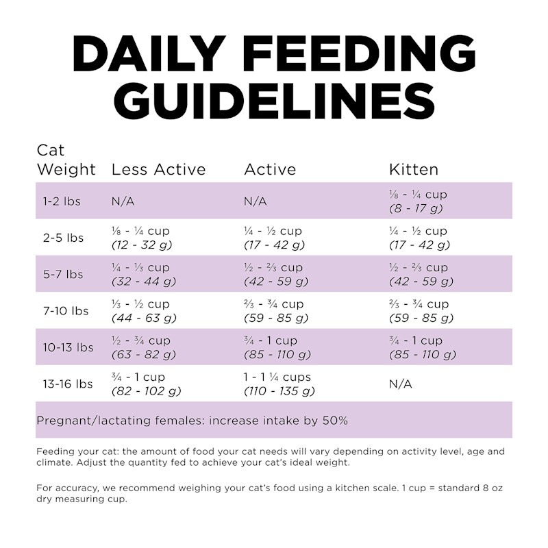 Go! Solutions Carnivore Grain-Free Chicken, Turkey + Duck Recipe cat food feeding guidelines