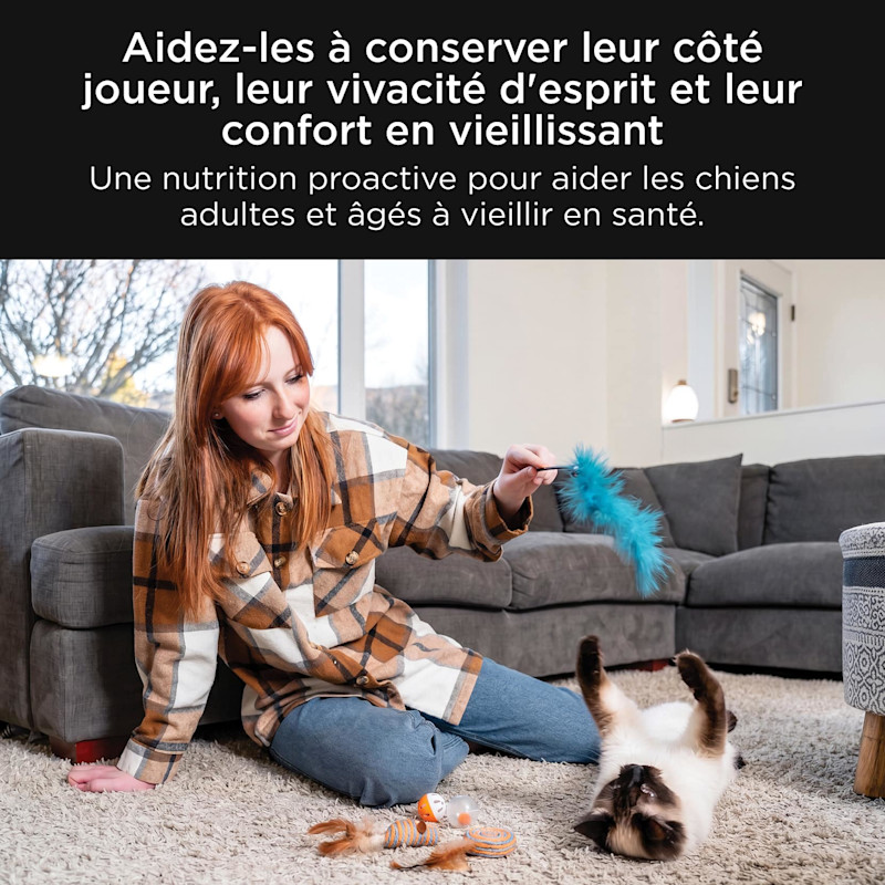 Help keep them playful, sharp, and comfortable as they age