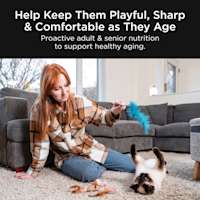 Help keep them playful, sharp, and comfortable as they age