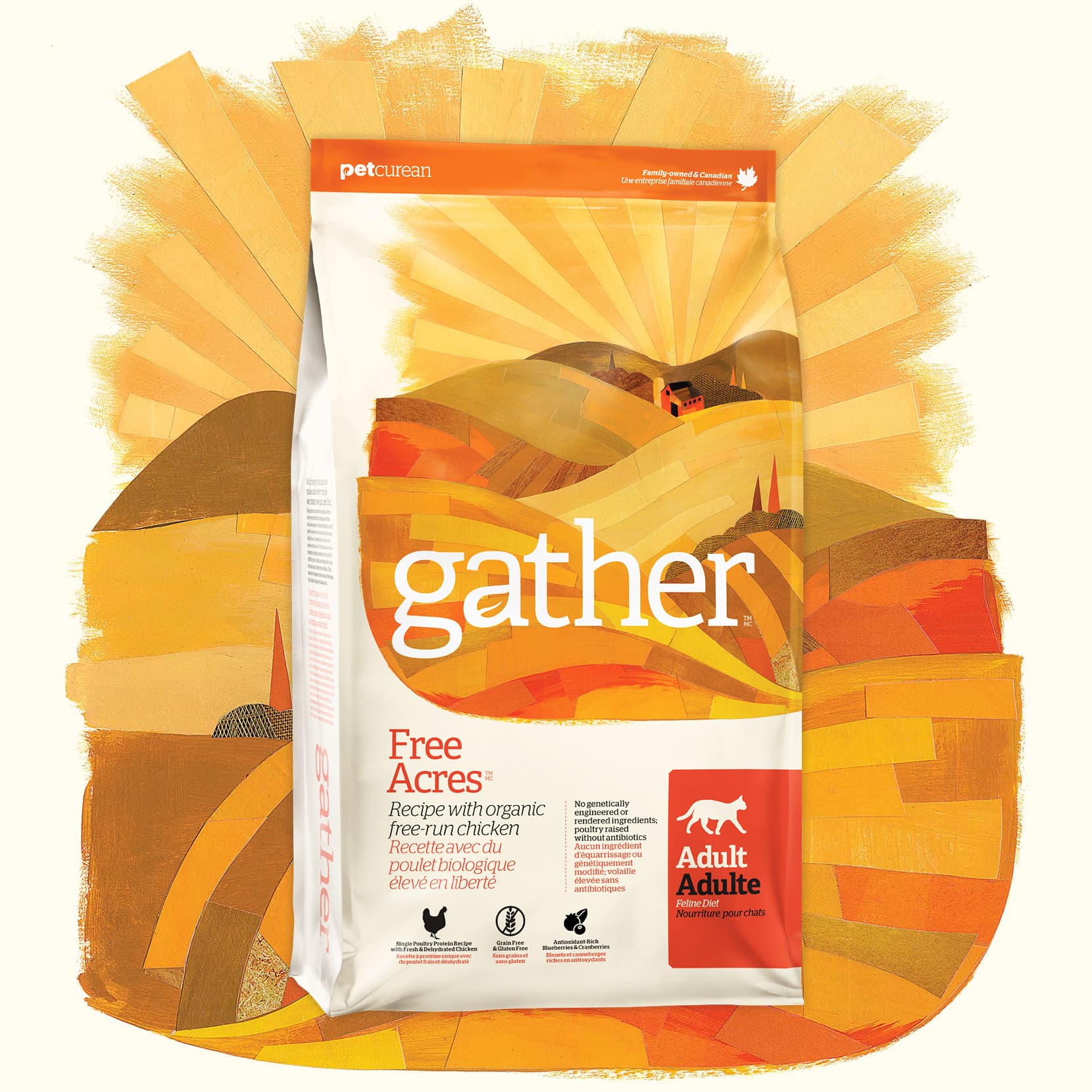 Gather endless store valley dog food