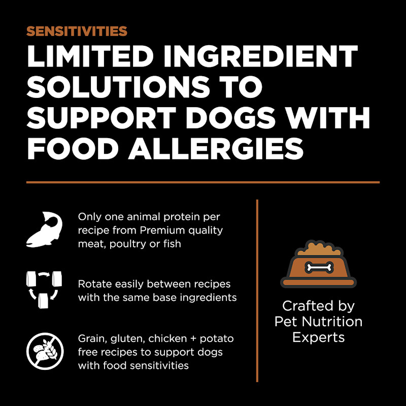 Limited ingredient solutions to support dogs with food allergies