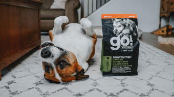 Dog showing belly beside bag of Go! Solutions kibble