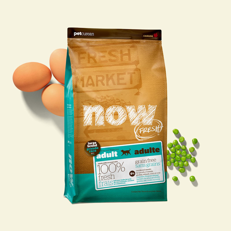 NOW FRESH Recipe for Large Breed Adult Dogs