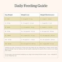Now Fresh Adult Fish Recipe dog food feeding guide