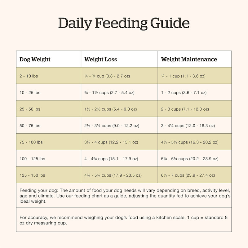 Now Fresh Adult Fish Recipe dog food feeding guide
