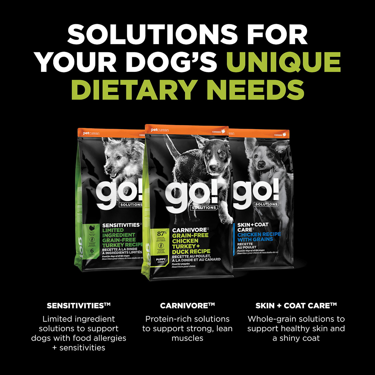 Explore our other dog food solutions