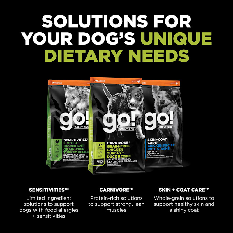 Explore our other dog food solutions