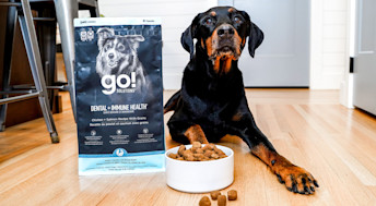 Doberman dog with bowl of Go! Solutions Dental + Immune Health kibble
