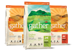 Gather dry food recipes for dogs