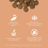 Made with premium-quality salmon, ancient grains, psyllium husk, and zero by-product meals