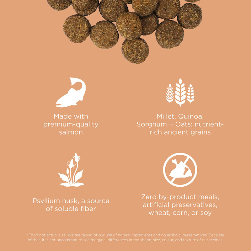 Made with premium-quality salmon, ancient grains, psyllium husk, and zero by-product meals