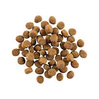 GO! SOLUTIONS CARNIVORE Grain-Free Salmon + Cod Recipe for Dogs kibble