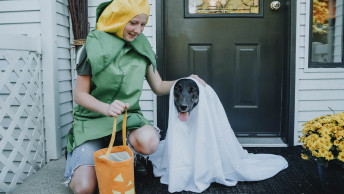 Halloween dog in white sheet costume and child in corn costume