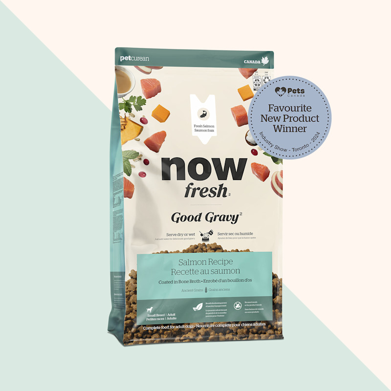 Now Fresh Good Gravy Salmon Recipe for Small Breed Dogs, Pets Canada Favourite New Product 2024