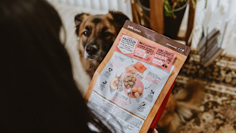 Owner reading the back of a dog food bag