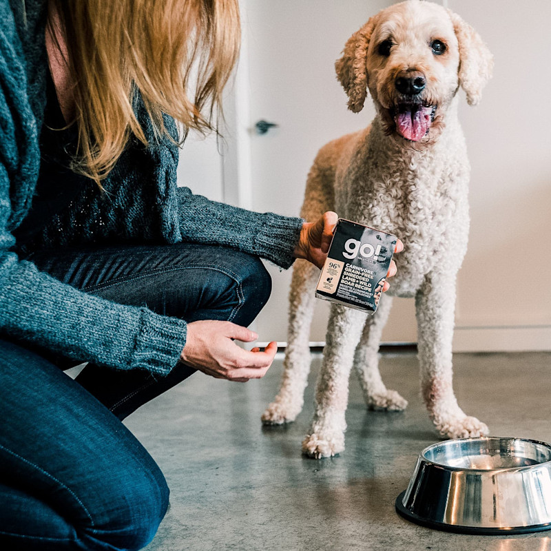 Standard Poodle with owner holding GO! SOLUTIONS CARNIVORE Grain-Free Shredded Lamb + Wild Boar Recipe for Dogs Tetra Pak
