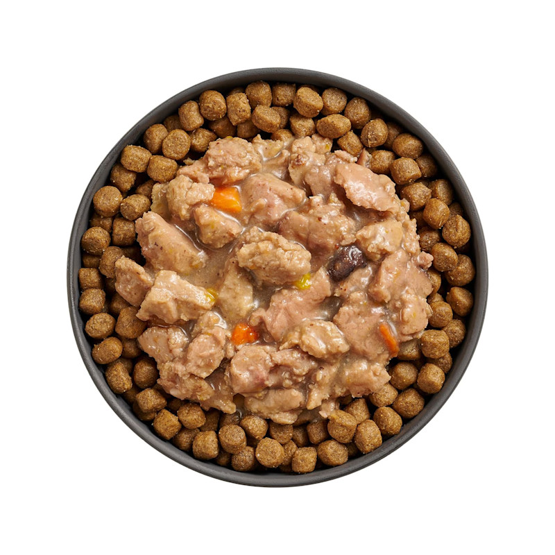 Bowl of kibble topped with Go! Booster Immune Health Minced Chicken + Salmon recipe for cats