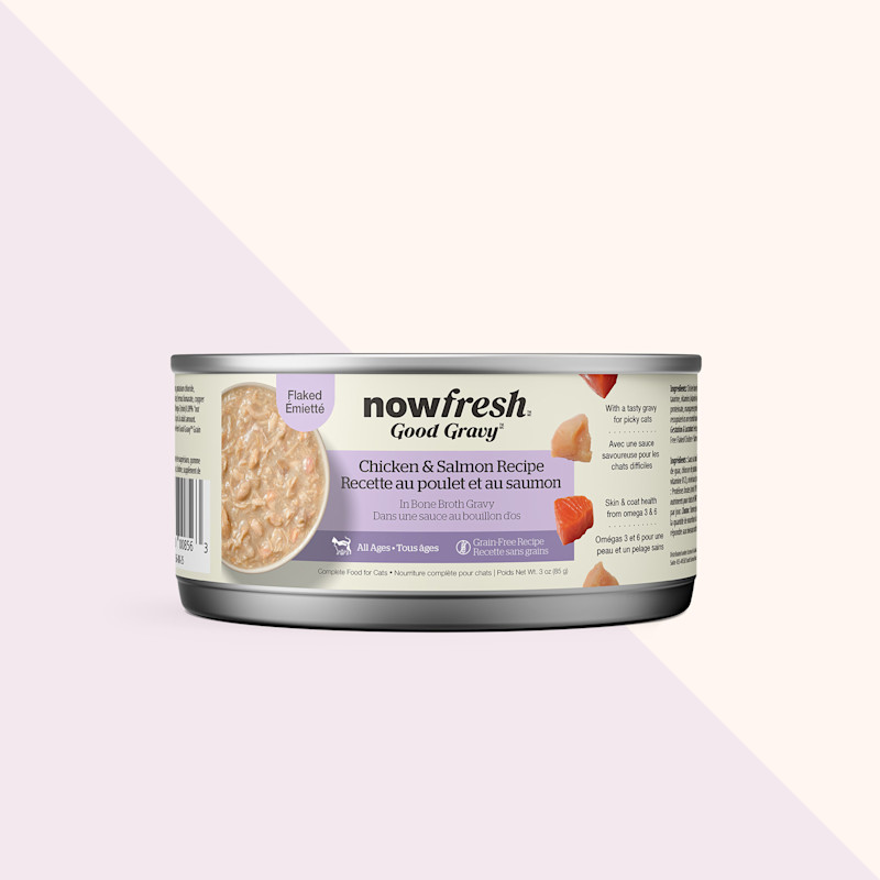 Nourriture humide pour chats Good Gravy de Now Fresh, recette au poulet et au saumon