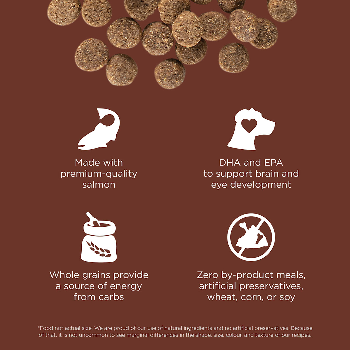 Made with premium-quality salmon, DHA and EPA, whole grains, and zero by-product meals