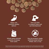 Made with premium-quality salmon, DHA and EPA, whole grains, and zero by-product meals